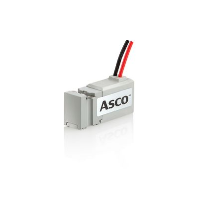 Asco-P-076