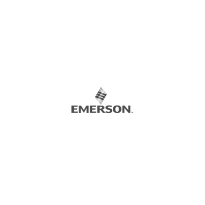 Emerson-R2B1N7N1N3A0A