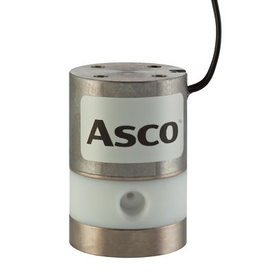 Asco-P-055